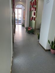 -苗医生0感科技祛痘