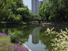 -和平公园
