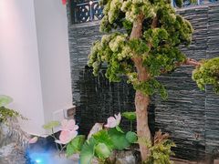 -大榕树下顺德菜(融创茂店)