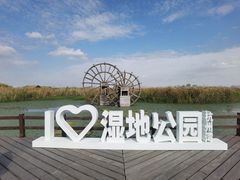 -宁波杭州湾国家湿地公园