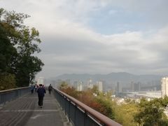 -金鸡山公园
