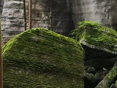 -梭布垭石林景区