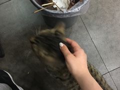 -段氏龙虾·烧烤·烤鱼(东书房路店)