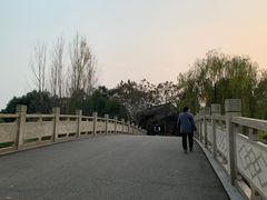 -眉山湿地公园(东坡区)