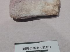 -浙江自然博物院(杭州馆)