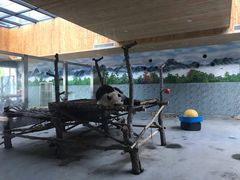 -西安秦岭野生动物园