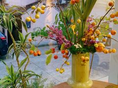 -蝶舍·MAISON PAPILLON