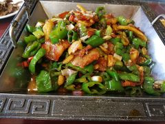-邵年鸽(杨庄店)