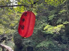 -石台牯牛降景区