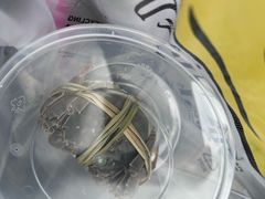 -品鲜村农家菜·阳澄湖大闸蟹(总店)