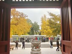 -北京石刻艺术博物馆(五塔寺)