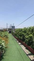 -可可天空农场(东部新城银泰店)