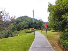 -桃花岭景区