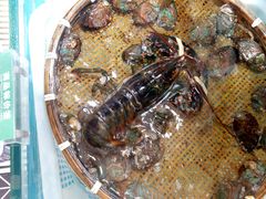 -港畔赶海蒸汽海鲜烧烤自助(仙螺岛店)