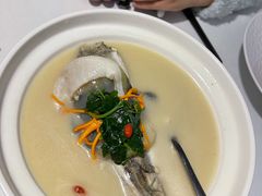 东坡河豚-肆月河豚·新淮扬(金融街店)