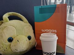 -Wagas沃歌斯(虹桥机场T1店)