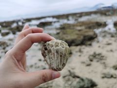 -三亚西岛海洋文化旅游区