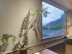 -宴武夷·匠心闽味(印象大红袍店)