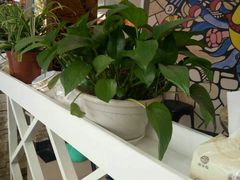 -印象江南(东栅店)