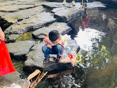 -大屏嶂森林公园