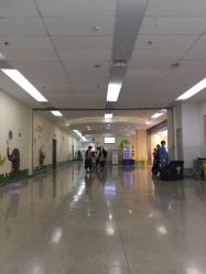 -上海市儿童医院(泸定路院区)