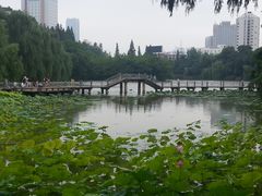 池塘-包公祠