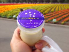 -富田农场