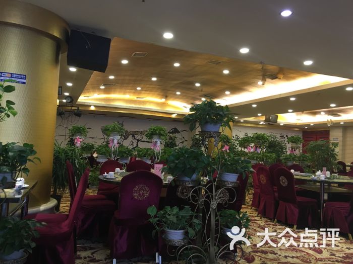 铁信和盛祥(金轮宾馆店)-图片-兰州美食-大众点评网
