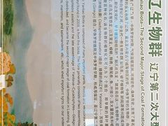 -辽宁古生物博物馆