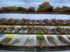 -镇江龙·火锅串串(武侯祠店)