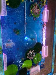 -菲菲羊乐园(临平银泰城店)