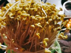 -巴倒烫陆派重庆火锅(南山店)