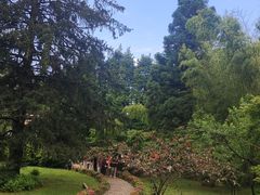 -庐山风景区花径公园