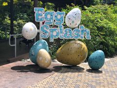 -新加坡飞禽公园