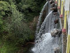 -九龙池景区