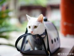 -泥糊破店小酒馆·团建聚餐(南京西路店)