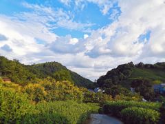 -国生茶庄·地道农家菜团建活动