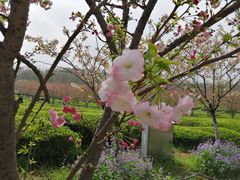 -凤凰沟景区