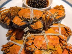 -杨氏青龙虾·羊肉季(金盛路总店)