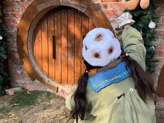 -HERRE·FARM 赫尔露营农场·团建聚会包场