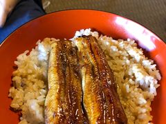 -料亭菊水楼