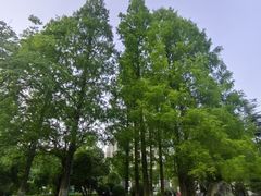 -咸阳湖景区