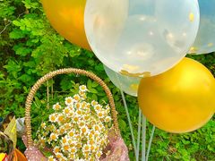 -白鹭湾湿地公园