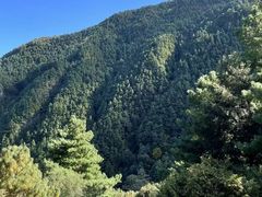 -苍山感通索道