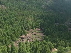 -玉苍山国家森林公园