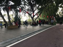 景点-金鸡山公园