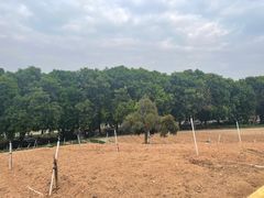 -松山湖梦幻百花洲