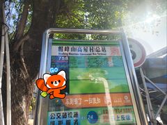 -广州市帽峰山景区