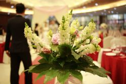 -红丝高端婚礼中心(旗舰店)