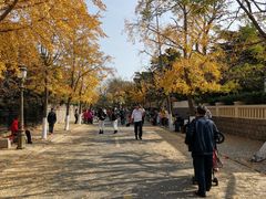 -八大关景区